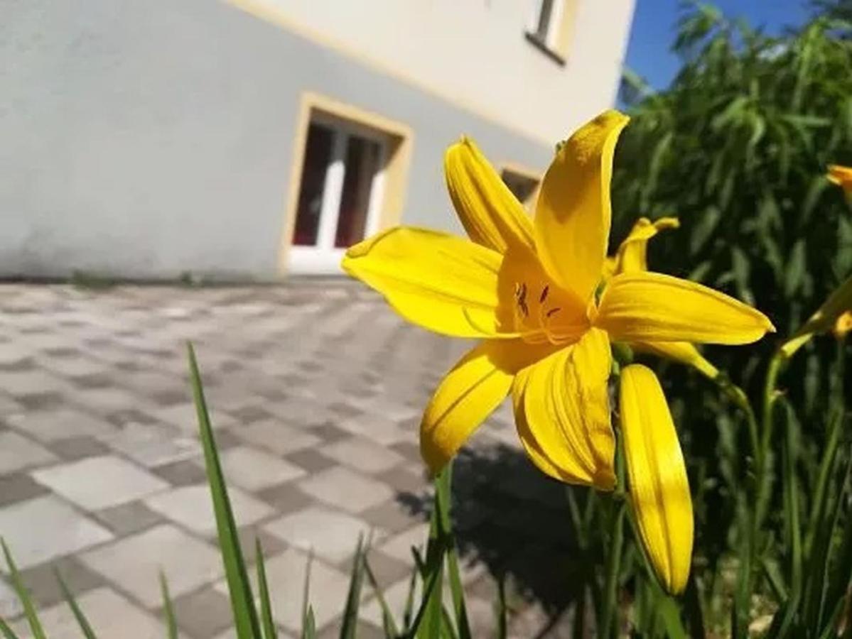 Haus Am Apfelbaum Διαμέρισμα Bad Säckingen Εξωτερικό φωτογραφία