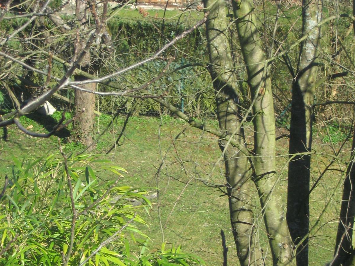 Haus Am Apfelbaum Διαμέρισμα Bad Säckingen Εξωτερικό φωτογραφία